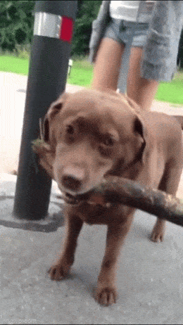 Просто гифки, всякие и&nbsp;разные