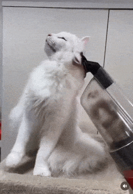 Просто гифки, всякие и&nbsp;разные