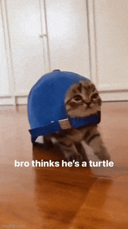 Просто гифки, всякие и&nbsp;разные