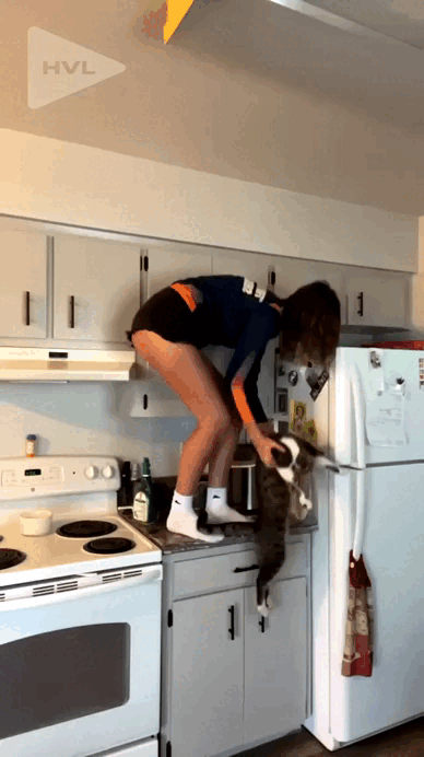 Просто гифки, всякие и&nbsp;разные