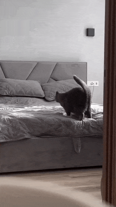 Просто гифки, всякие и&nbsp;разные