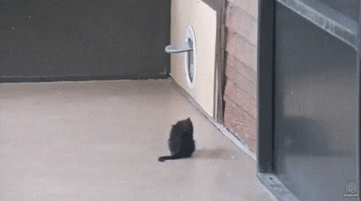 Просто гифки, всякие и&nbsp;разные