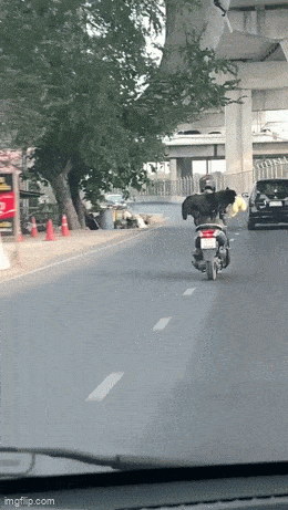 Просто гифки, всякие и&nbsp;разные