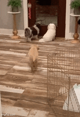 Просто гифки, всякие и&nbsp;разные