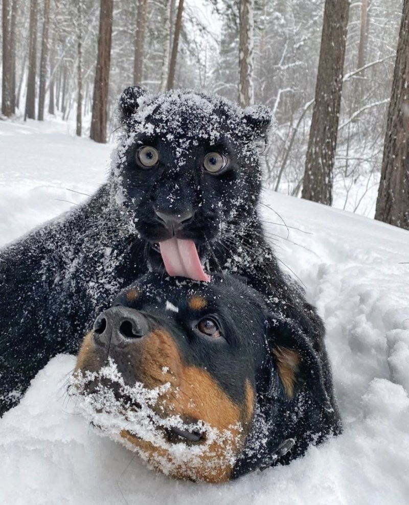 8. Сама в шоке!