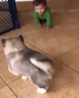 Просто гифки, всякие и&nbsp;разные