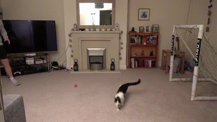 Просто гифки, всякие и&nbsp;разные