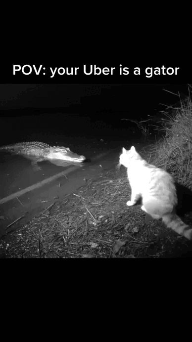 Просто гифки, всякие и&nbsp;разные