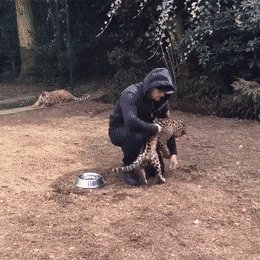 Просто гифки, всякие и&nbsp;разные