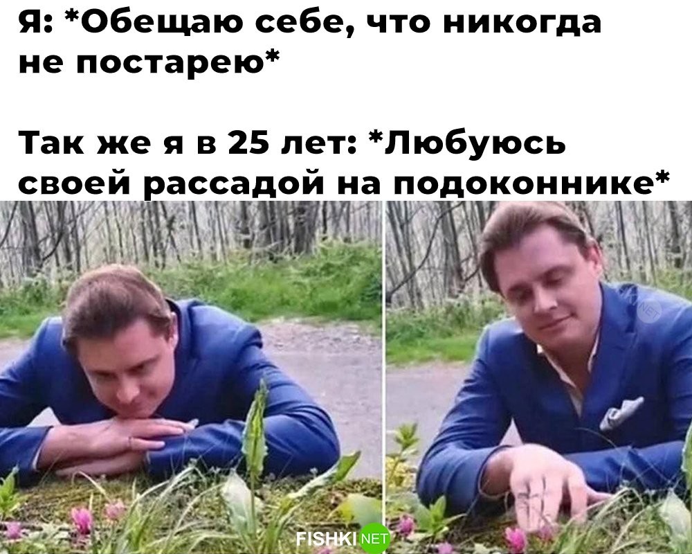 Смешные картинки