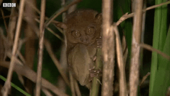 И снова понедельник