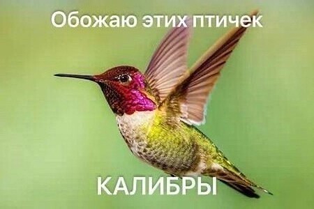 О политике и не только