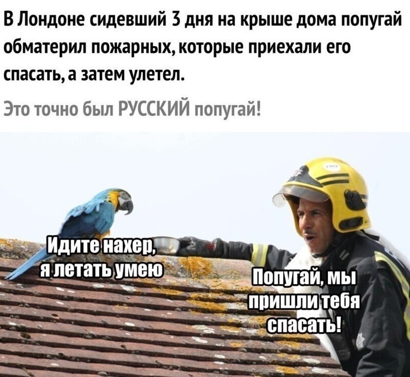 О политике и не только