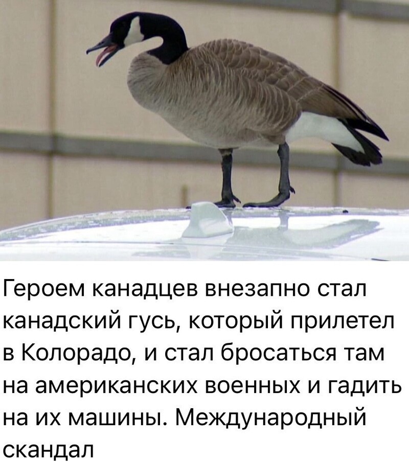 О политике и не только