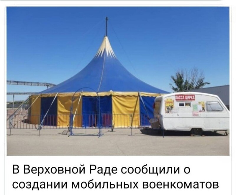 О политике и не только
