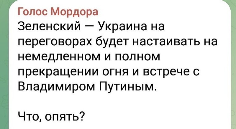 О политике и не только