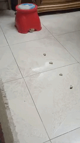 Просто гифки, всякие и&nbsp;разные