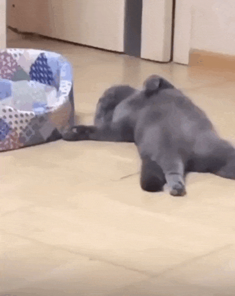 Просто гифки, всякие и&nbsp;разные