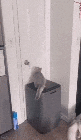 Просто гифки, всякие и&nbsp;разные