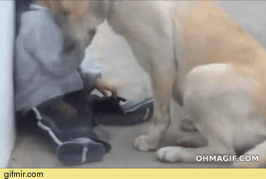 Просто гифки, всякие и&nbsp;разные