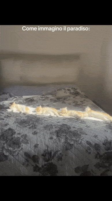 Просто гифки, всякие и&nbsp;разные