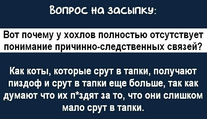 Да простят меня коты ... )))