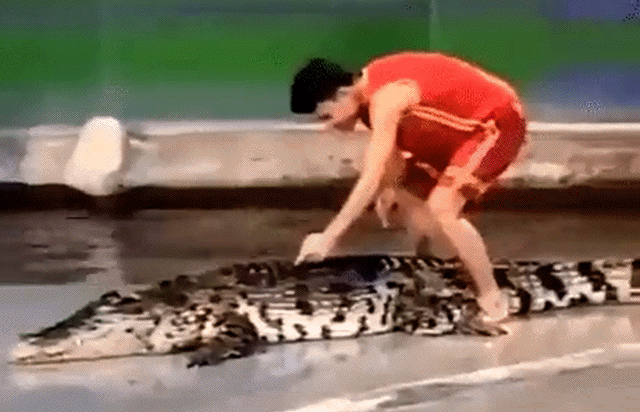 Разнообразные ГИФки #134