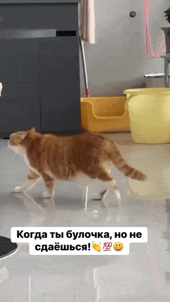 Просто гифки, всякие и разные Просто гифки, всякие и разные