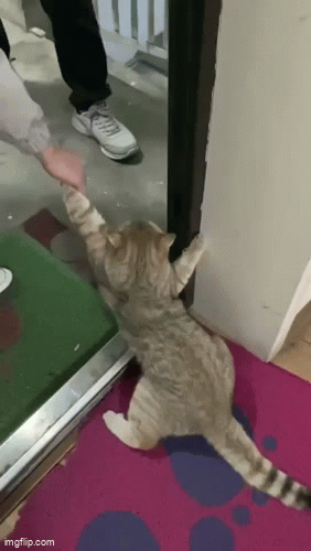 Просто гифки, всякие и&nbsp;разные