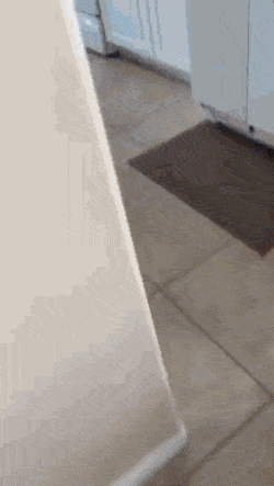 Просто гифки, всякие и&nbsp;разные