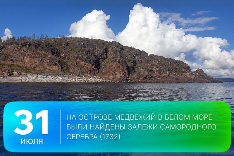 О политике и не только
