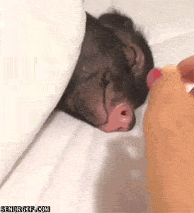 Просто гифки, всякие и&nbsp;разные