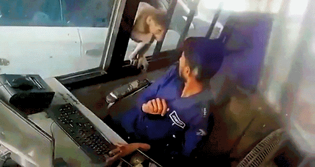 Просто гифки, всякие и&nbsp;разные