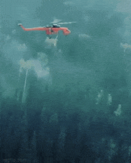 Просто гифки, всякие и&nbsp;разные