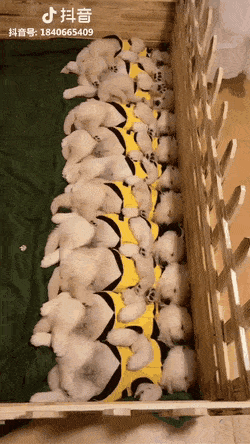 Просто гифки, всякие и&nbsp;разные