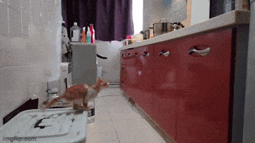 Просто гифки, всякие и&nbsp;разные