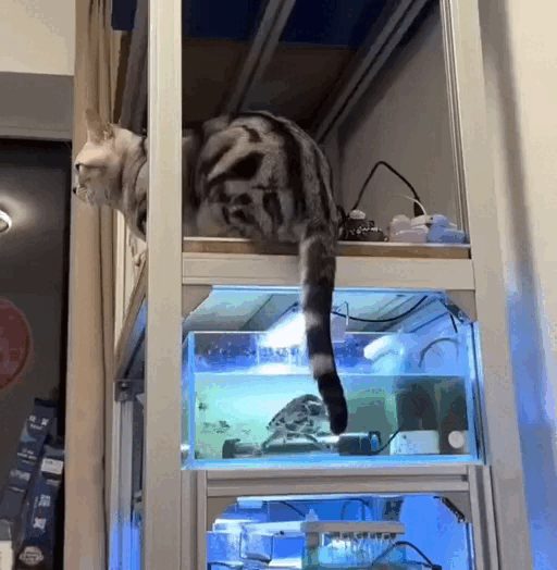 Просто гифки, всякие и&nbsp;разные