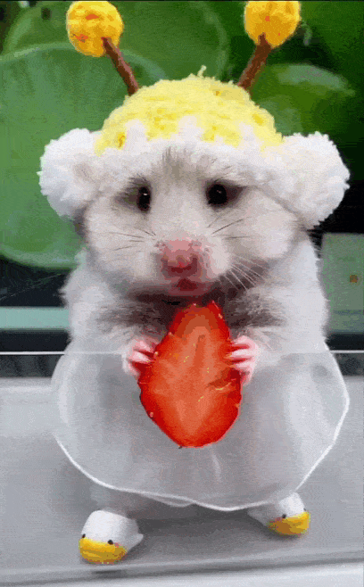 Просто гифки, всякие и&nbsp;разные