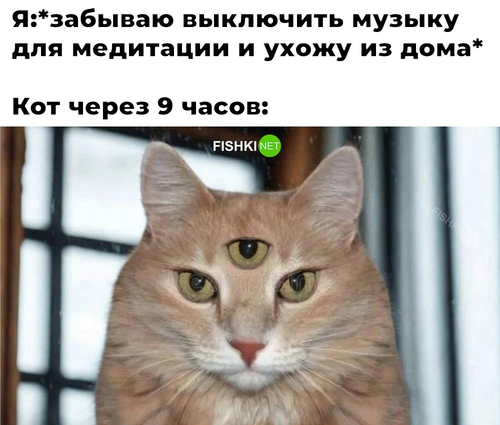 Скрины из соцсетей