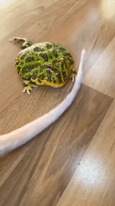 Просто гифки, всякие и&nbsp;разные