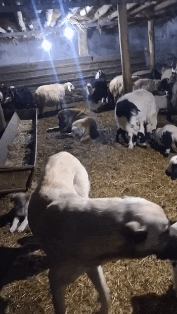 Просто гифки, всякие и&nbsp;разные