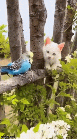 Просто гифки, всякие и&nbsp;разные