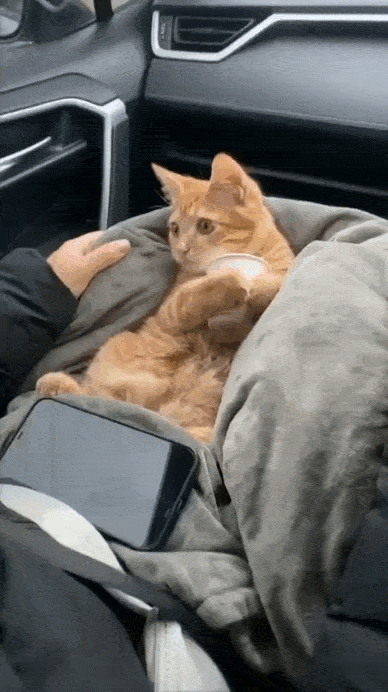 Просто гифки, всякие и разные Просто гифки, всякие и разные