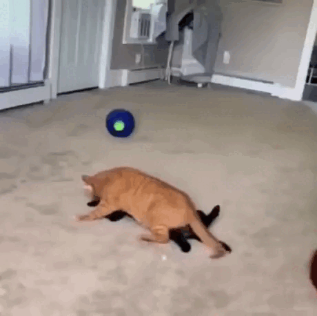 Просто гифки, всякие и разные Просто гифки, всякие и разные