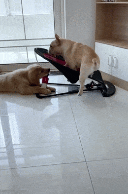 Просто гифки, всякие и разные Просто гифки, всякие и разные