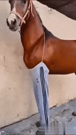 Просто гифки, всякие и разные Просто гифки, всякие и разные