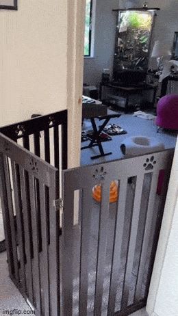 Просто гифки, всякие и разные Просто гифки, всякие и разные