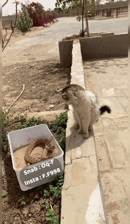 Просто гифки, всякие и разные Просто гифки, всякие и разные