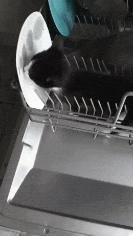 Просто гифки, всякие и разные Просто гифки, всякие и разные