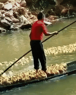 Просто гифки, всякие и разные Просто гифки, всякие и разные